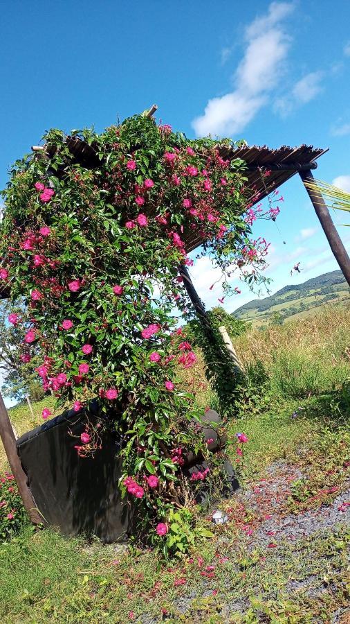 Flores De Ipe Inn Capitolio