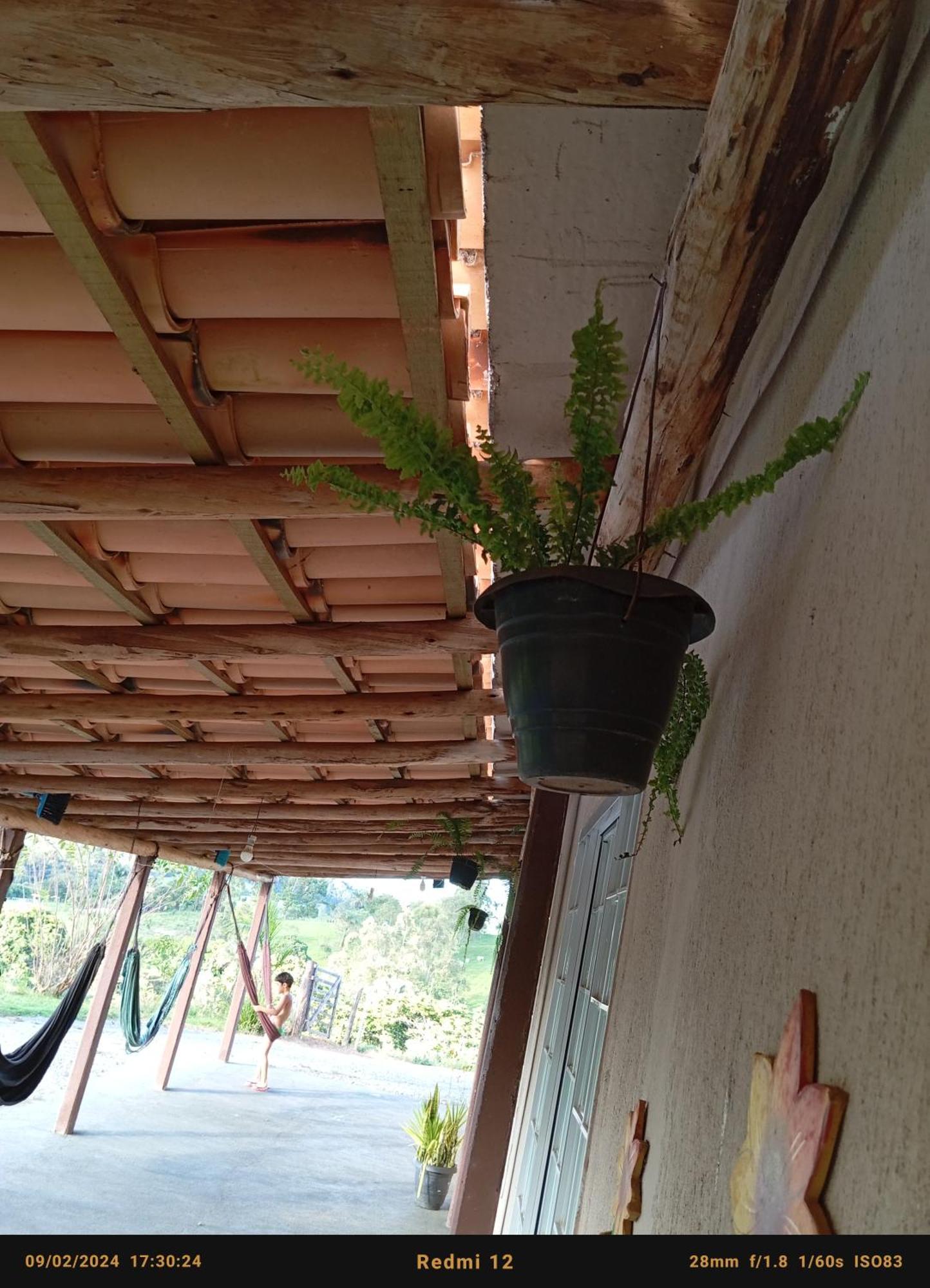 Flores De Ipe Inn